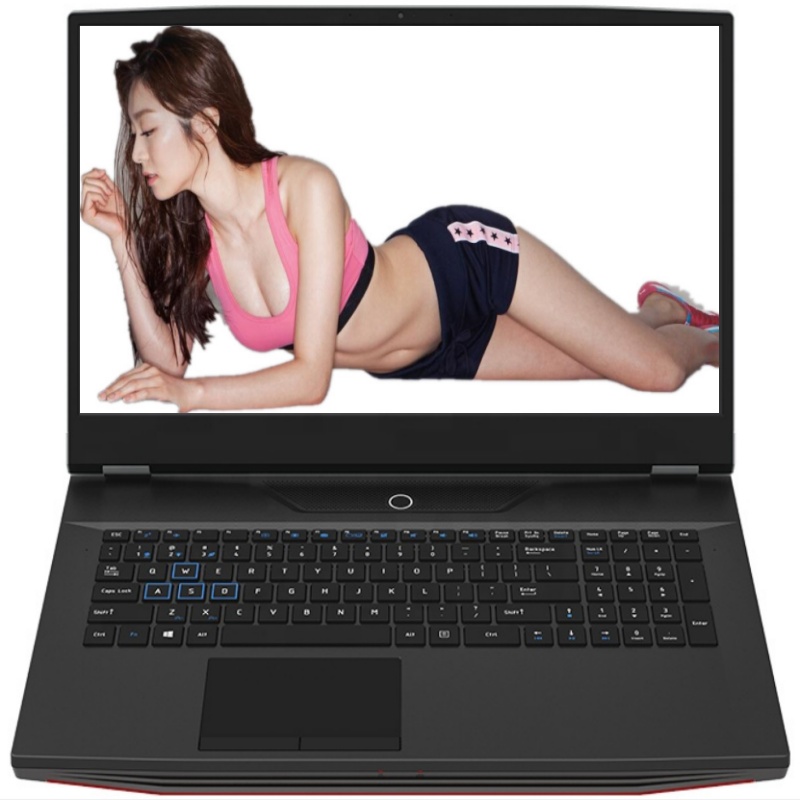 17,3-дюймовый игровой ноутбук  – обзор и цена Pc Gaming I7